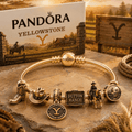 YLST Gold Charm Bracelet Set TTN