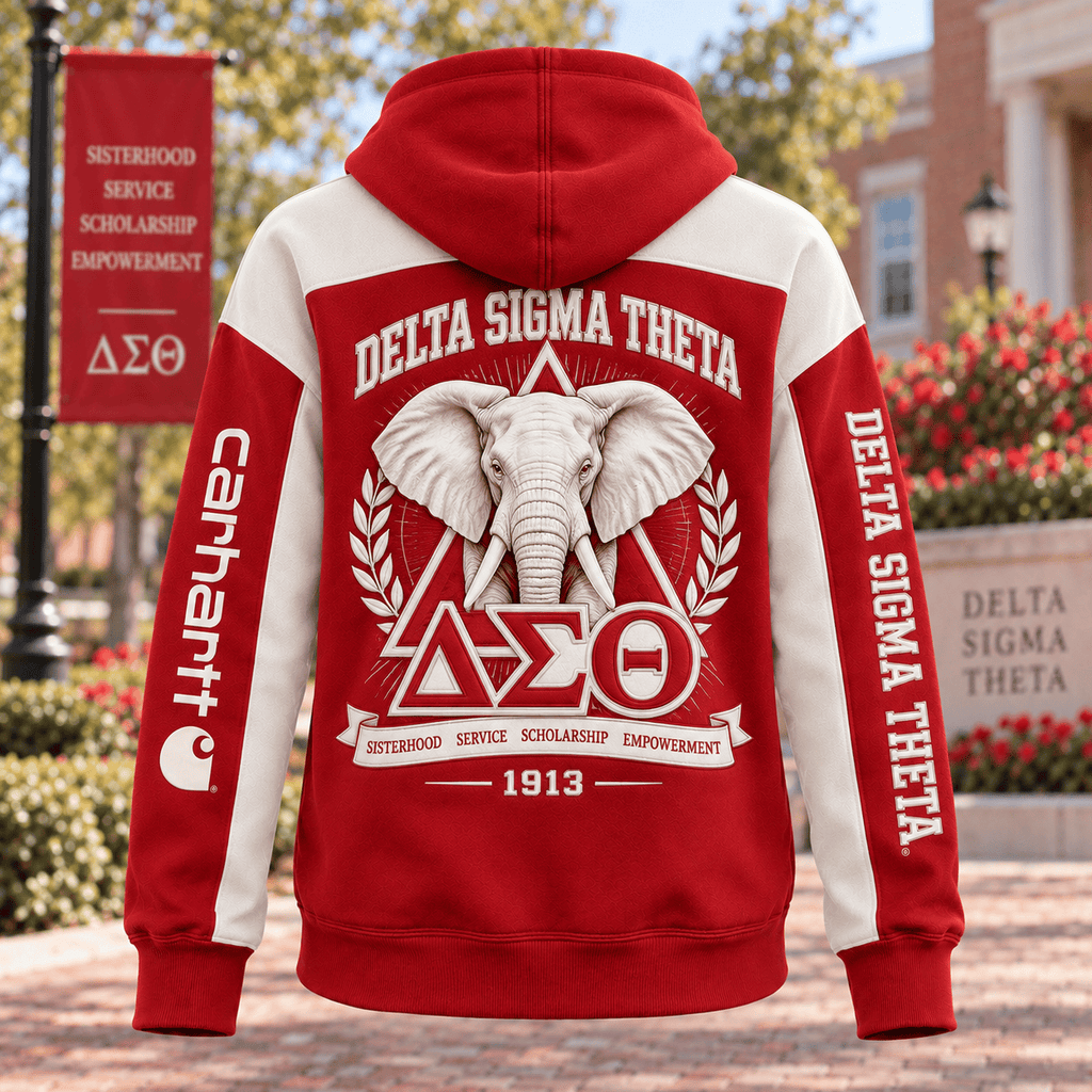 PREMIUM DST HOODIE COLOR BLOCK TTNL