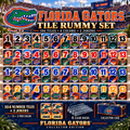 FGT Deluxe Rummy Game Set NTVA