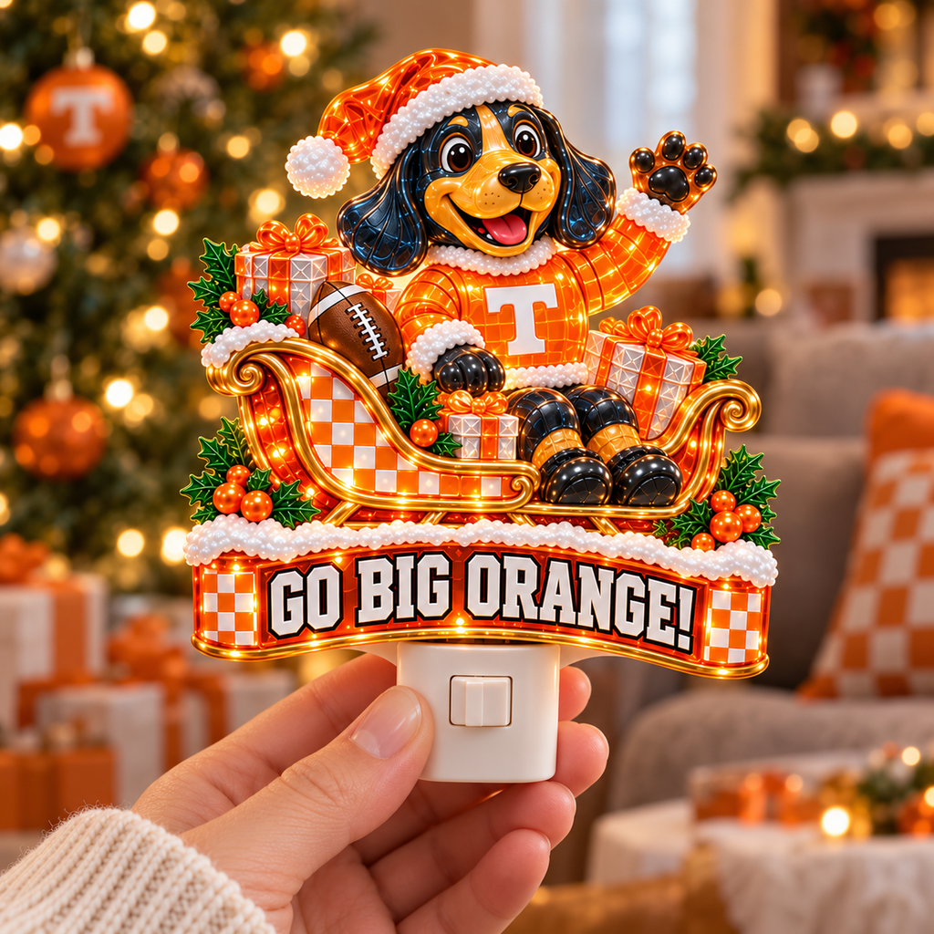 TVF Christmas Plug-In Night Light Set TMH